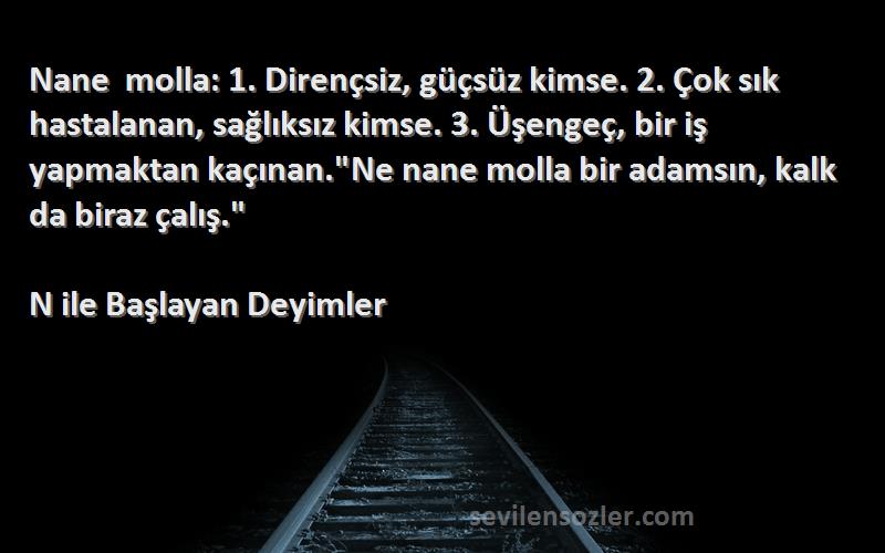 N ile Başlayan Deyimler Sözleri 
Nane molla: 1. Dirençsiz, güçsüz kimse. 2. Çok sık hastalanan, sağlıksız kimse. 3. Üşengeç, bir iş yapmaktan kaçınan.Ne nane molla bir adamsın, kalk da biraz çalış.