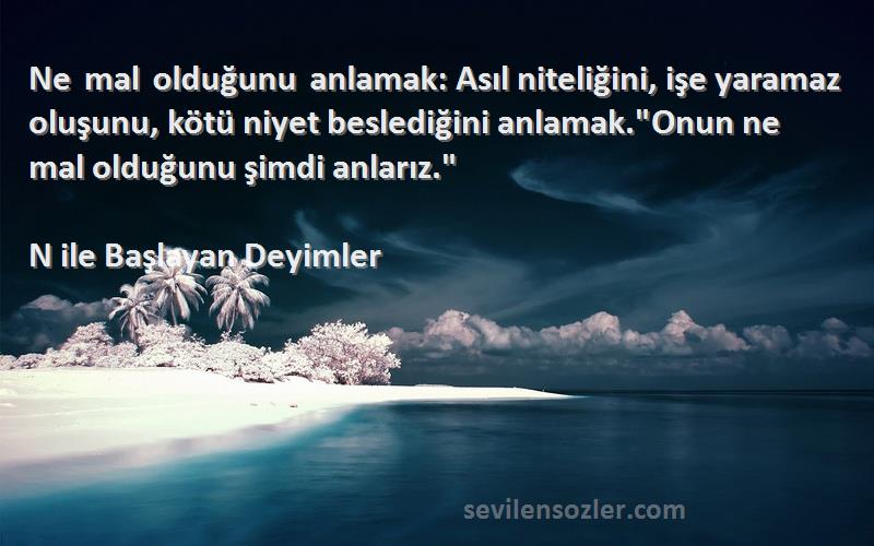 N ile Başlayan Deyimler Sözleri 
Ne mal olduğunu anlamak: Asıl niteliğini, işe yaramaz oluşunu, kötü niyet beslediğini anlamak.Onun ne mal olduğunu şimdi anlarız.