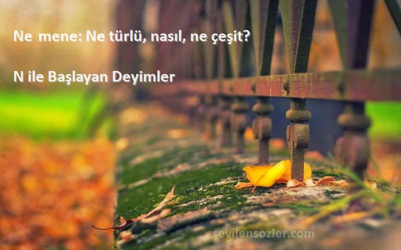 N ile Başlayan Deyimler - Ne mene: Ne türlü, nasıl, ne çeşit?
