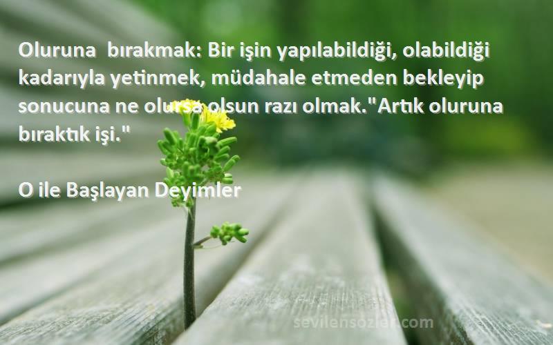 O ile Başlayan Deyimler Sözleri 
Oluruna bırakmak: Bir işin yapılabildiği, olabildiği kadarıyla yetinmek, müdahale etmeden bekleyip sonucuna ne olursa olsun razı olmak.Artık oluruna bıraktık işi.