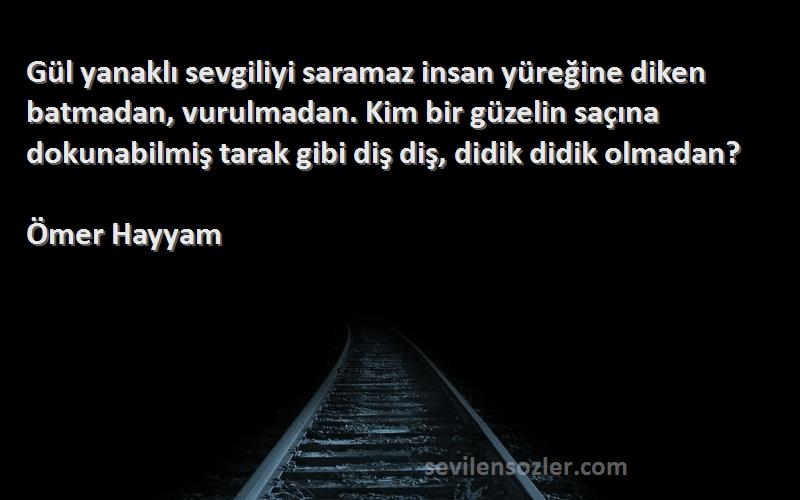 Ömer Hayyam Sözleri 
Gül yanaklı sevgiliyi saramaz insan yüreğine diken batmadan, vurulmadan. Kim bir güzelin saçına dokunabilmiş tarak gibi diş diş, didik didik olmadan?