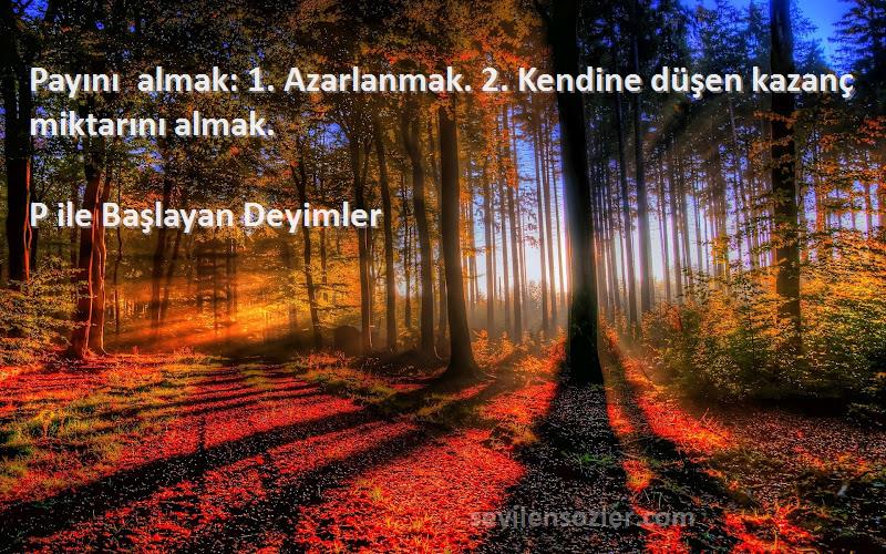 P ile Başlayan Deyimler - Payını almak: 1. Azarlanmak. 2. Kendine düşen kazanç miktarını almak.