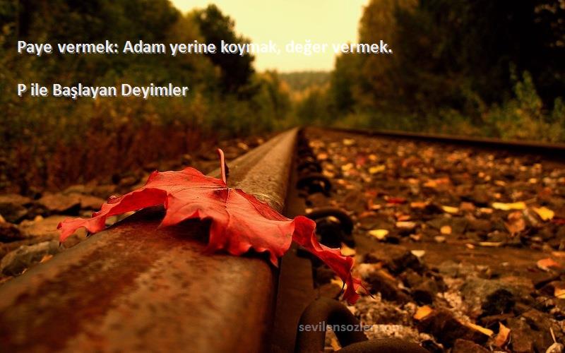 P ile Başlayan Deyimler - Paye vermek: Adam yerine koymak, değer vermek.