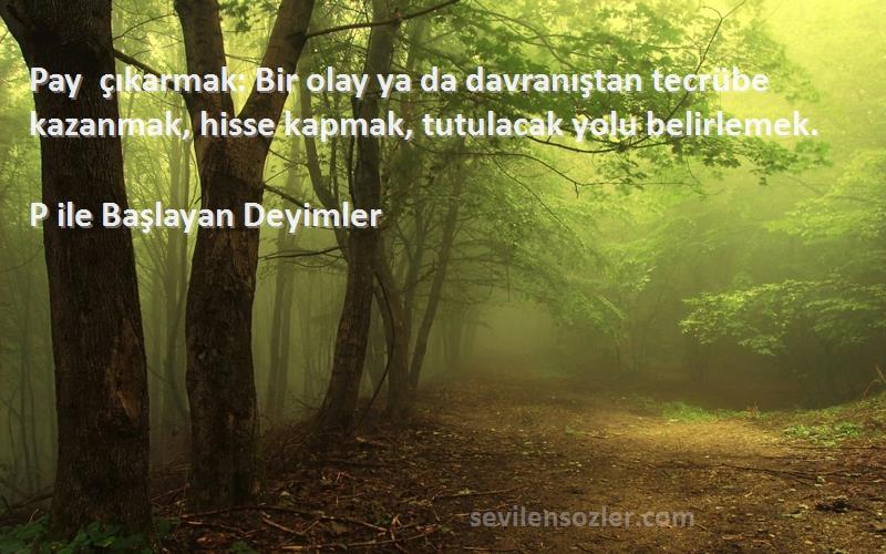 P ile Başlayan Deyimler - Pay çıkarmak: Bir olay ya da davranıştan tecrübe kazanmak, hisse kapmak, tutulacak yolu belirlemek.