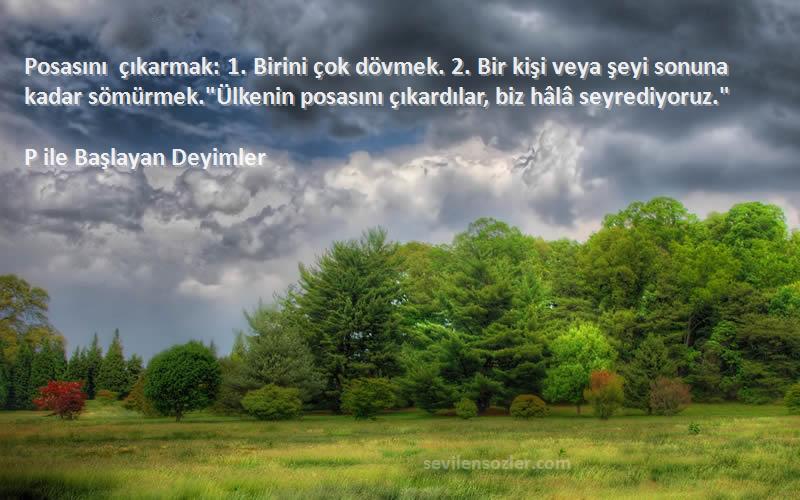 P ile Başlayan Deyimler Sözleri 
Posasını çıkarmak: 1. Birini çok dövmek. 2. Bir kişi veya şeyi sonuna kadar sömürmek.Ülkenin posasını çıkardılar, biz hâlâ seyrediyoruz.