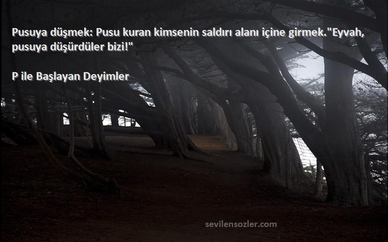 P ile Başlayan Deyimler Sözleri 
Pusuya düşmek: Pusu kuran kimsenin saldırı alanı içine girmek.Eyvah, pusuya düşürdüler bizi!