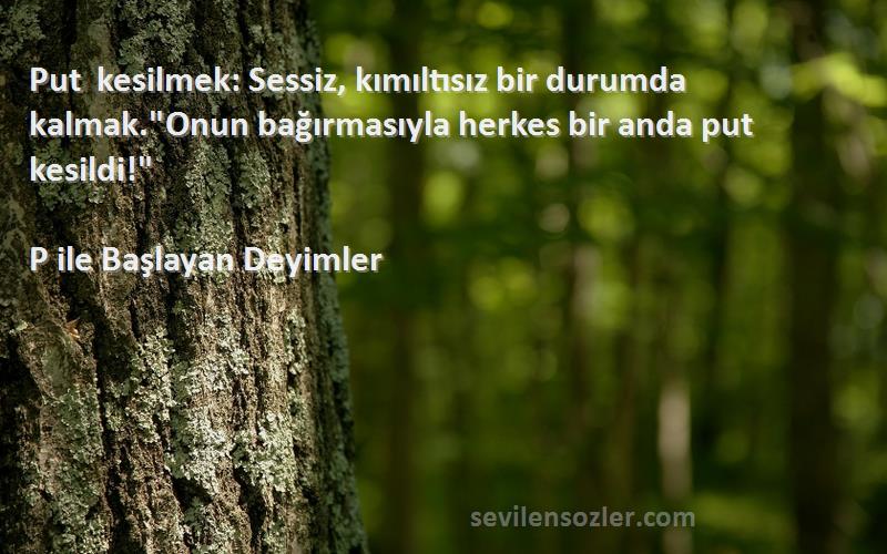 P ile Başlayan Deyimler Sözleri 
Put kesilmek: Sessiz, kımıltısız bir durumda kalmak.Onun bağırmasıyla herkes bir anda put kesildi!