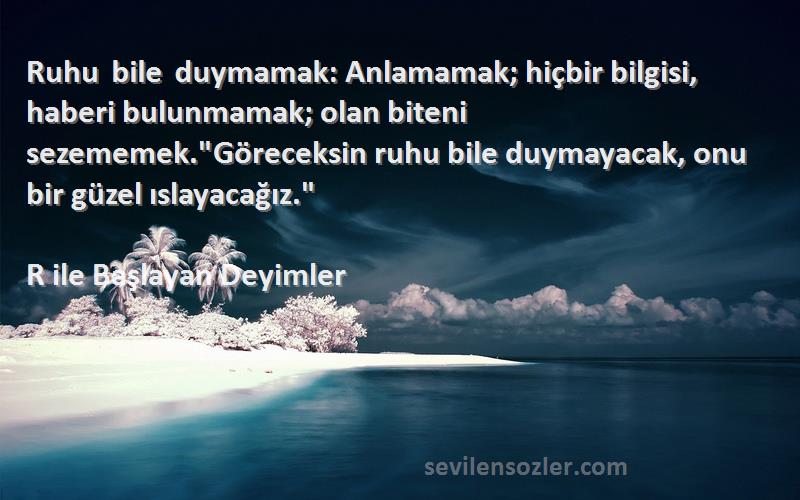 R ile Başlayan Deyimler Sözleri 
Ruhu bile duymamak: Anlamamak; hiçbir bilgisi, haberi bulunmamak; olan biteni sezememek.Göreceksin ruhu bile duymayacak, onu bir güzel ıslayacağız.