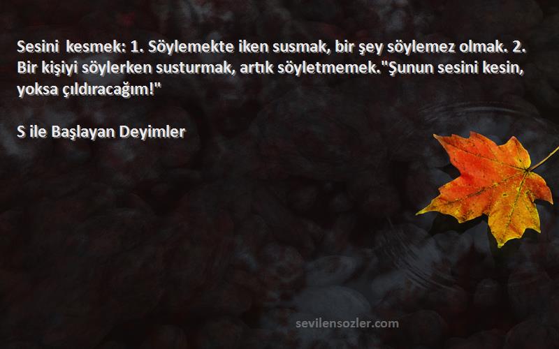 S ile Başlayan Deyimler Sözleri 
Sesini kesmek: 1. Söylemekte iken susmak, bir şey söylemez olmak. 2. Bir kişiyi söylerken susturmak, artık söyletmemek.Şunun sesini kesin, yoksa çıldıracağım!