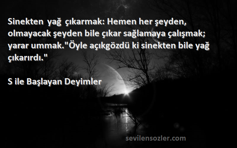 S ile Başlayan Deyimler Sözleri 
Sinekten yağ çıkarmak: Hemen her şeyden, olmayacak şeyden bile çıkar sağlamaya çalışmak; yarar ummak.Öyle açıkgözdü ki sinekten bile yağ çıkarırdı.