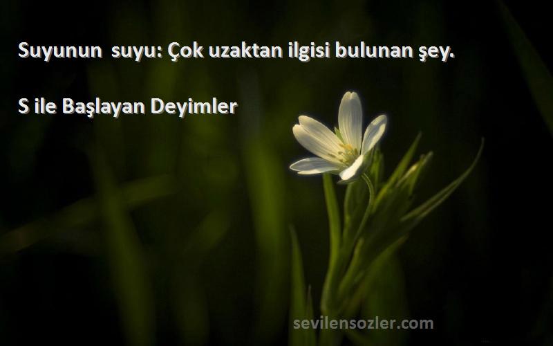 S ile Başlayan Deyimler - Suyunun suyu: Çok uzaktan ilgisi bulunan şey.