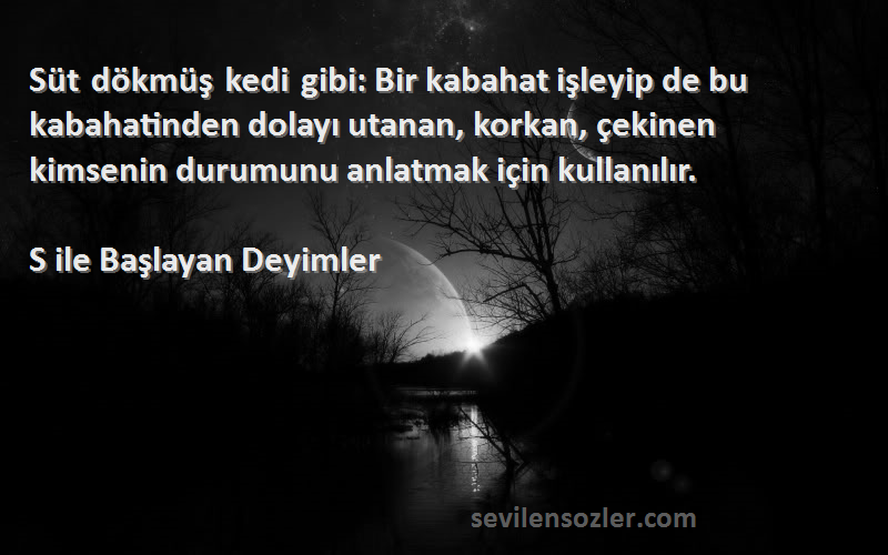 S ile Başlayan Deyimler Sözleri 
Süt dökmüş kedi gibi: Bir kabahat işleyip de bu kabahatinden dolayı utanan, korkan, çekinen kimsenin durumunu anlatmak için kullanılır.