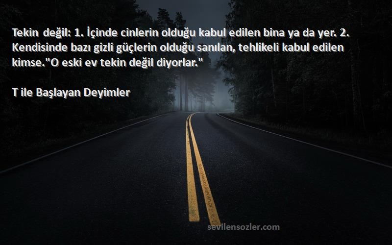 T ile Başlayan Deyimler Sözleri 
Tekin değil: 1. İçinde cinlerin olduğu kabul edilen bina ya da yer. 2. Kendisinde bazı gizli güçlerin olduğu sanılan, tehlikeli kabul edilen kimse.O eski ev tekin değil diyorlar.