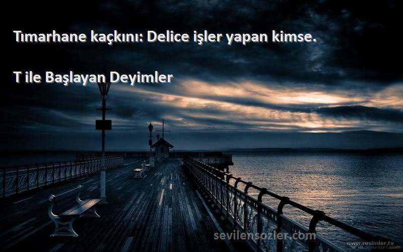 T ile Başlayan Deyimler - Tımarhane kaçkını: Delice işler yapan kimse.