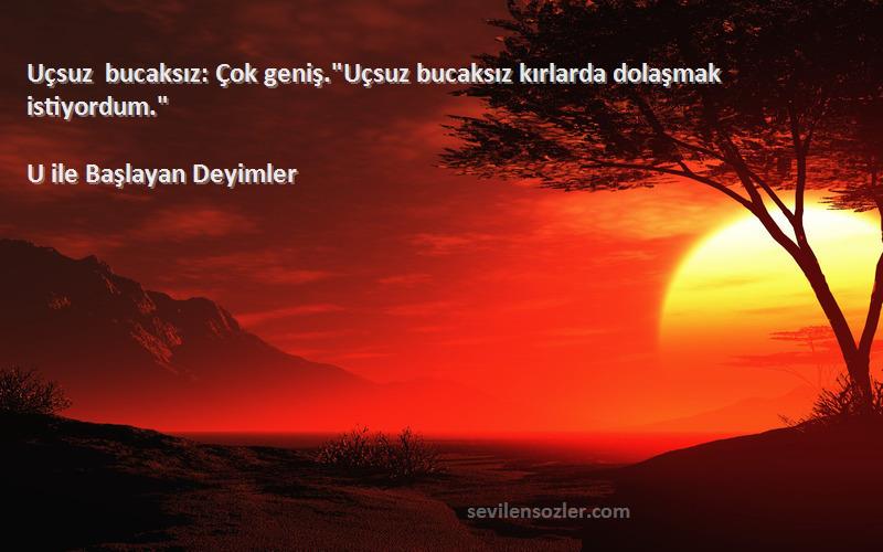 U ile Başlayan Deyimler Sözleri 
Uçsuz bucaksız: Çok geniş.Uçsuz bucaksız kırlarda dolaşmak istiyordum.