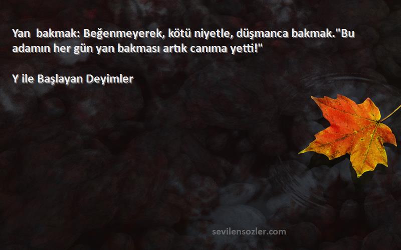 Y ile Başlayan Deyimler Sözleri 
Yan bakmak: Beğenmeyerek, kötü niyetle, düşmanca bakmak.Bu adamın her gün yan bakması artık canıma yetti!