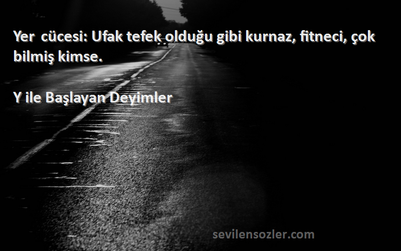 Y ile Başlayan Deyimler - Yer cücesi: Ufak tefek olduğu gibi kurnaz, fitneci, çok bilmiş kimse.