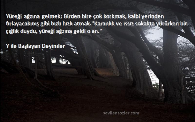 Y ile Başlayan Deyimler Sözleri 
Yüreği ağzına gelmek: Birden bire çok korkmak, kalbi yerinden fırlayacakmış gibi hızlı hızlı atmak.Karanlık ve ıssız sokakta yürürken bir çığlık duydu, yüreği ağzına geldi o an.