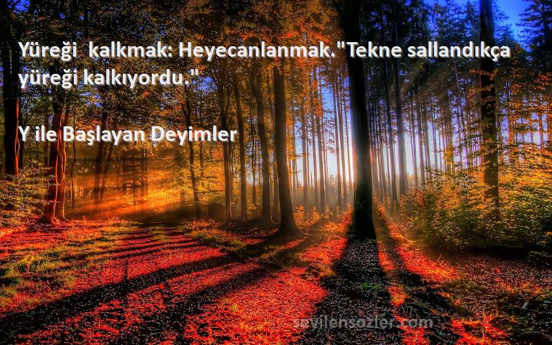 Y ile Başlayan Deyimler - Yüreği kalkmak: Heyecanlanmak.Tekne sallandıkça yüreği kalkıyordu.