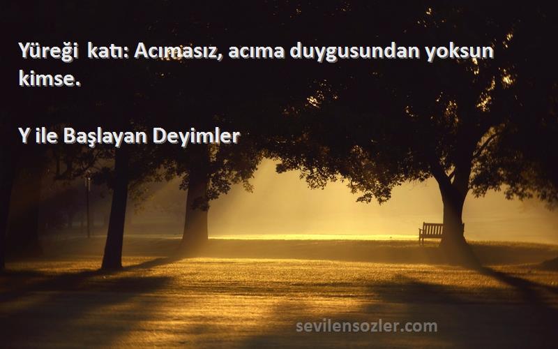 Y ile Başlayan Deyimler - Yüreği katı: Acımasız, acıma duygusundan yoksun kimse.