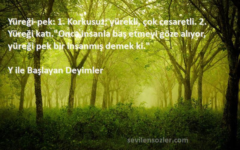 Y ile Başlayan Deyimler Sözleri 
Yüreği pek: 1. Korkusuz, yürekli, çok cesaretli. 2. Yüreği katı.Onca insanla baş etmeyi göze alıyor, yüreği pek bir insanmış demek ki.