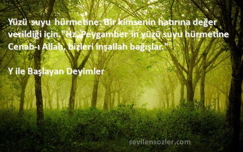 Y ile Başlayan Deyimler Sözleri 
Yüzü suyu hürmetine: Bir kimsenin hatırına değer verildiği için.Hz. Peygamber`in yüzü suyu hürmetine Cenab-ı Allah, bizleri inşallah bağışlar.