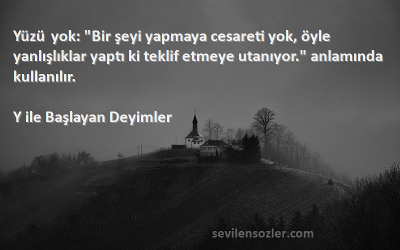 Y ile Başlayan Deyimler Sözleri 
Yüzü yok: Bir şeyi yapmaya cesareti yok, öyle yanlışlıklar yaptı ki teklif etmeye utanıyor. anlamında kullanılır.