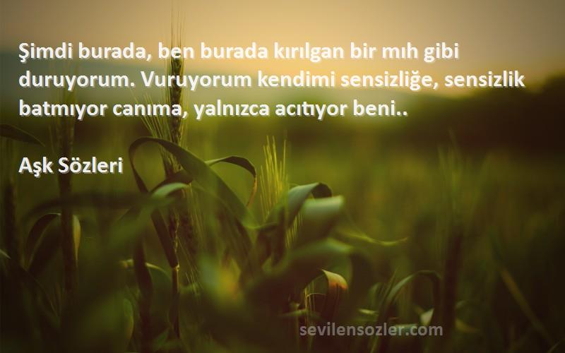 Aşk  Sözleri 
Şimdi burada, ben burada kırılgan bir mıh gibi duruyorum. Vuruyorum kendimi sensizliğe, sensizlik batmıyor canıma, yalnızca acıtıyor beni.. 