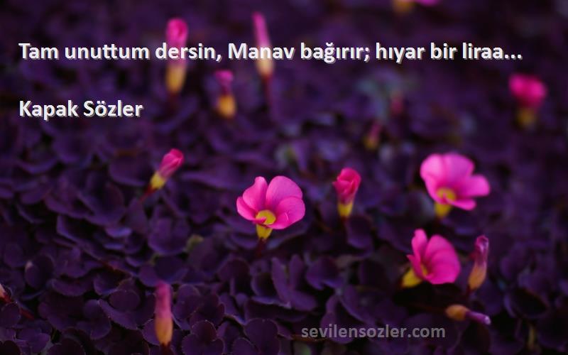 Kapak Sözler - Tam unuttum dersin, Manav bağırır; hıyar bir liraa... 