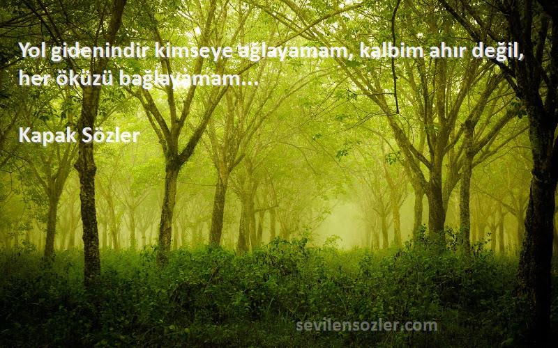 Kapak Sözler - Yol gidenindir kimseye ağlayamam, kalbim ahır değil, her öküzü bağlayamam... 