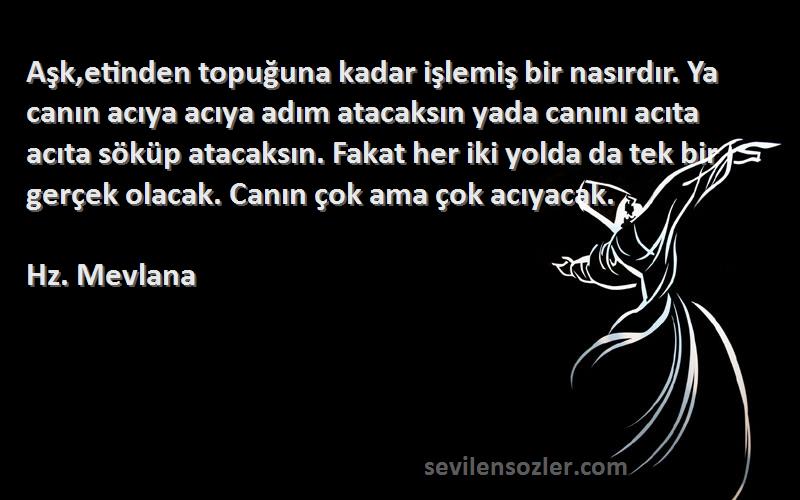 Hz. Mevlana Sözleri 
Aşk,etinden topuğuna kadar işlemiş bir nasırdır. Ya canın acıya acıya adım atacaksın yada canını acıta acıta söküp atacaksın. Fakat her iki yolda da tek bir gerçek olacak. Canın çok ama çok acıyacak.