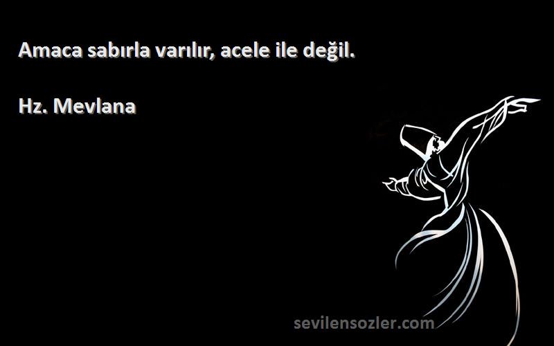 Hz. Mevlana - Amaca sabırla varılır, acele ile değil.