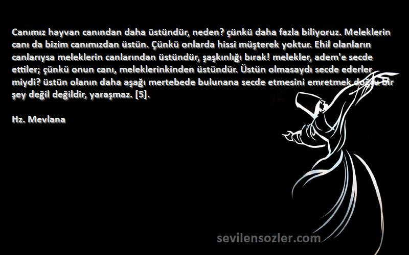 Hz. Mevlana Sözleri 
Canımız hayvan canından daha üstündür, neden? çünkü daha fazla biliyoruz. Meleklerin canı da bizim canımızdan üstün. Çünkü onlarda hissi müşterek yoktur. Ehil olanların canlarıysa meleklerin canlarından üstündür, şaşkınlığı bırak! melekler, adem'e secde ettiler; çünkü onun canı, meleklerinkinden üstündür. Üstün olmasaydı secde ederler miydi? üstün olanın daha aşağı mertebede bulunana secde etmesini emretmek doğru bir şey değil değildir, yaraşmaz. [5].