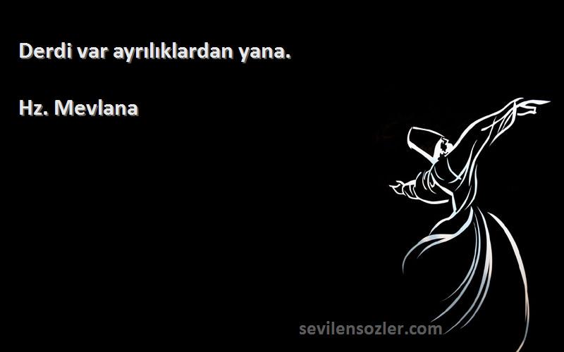 Hz. Mevlana - Derdi var ayrılıklardan yana.