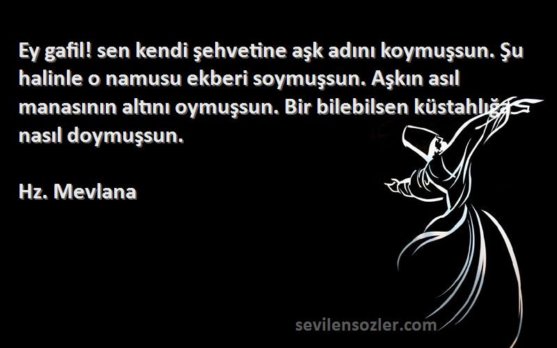 Hz. Mevlana Sözleri 
Ey gafil! sen kendi şehvetine aşk adını koymuşsun. Şu halinle o namusu ekberi soymuşsun. Aşkın asıl manasının altını oymuşsun. Bir bilebilsen küstahlığa nasıl doymuşsun.