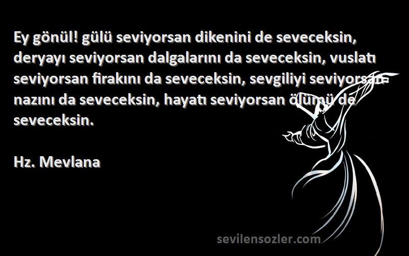 Hz. Mevlana Sözleri 
Ey gönül! gülü seviyorsan dikenini de seveceksin, deryayı seviyorsan dalgalarını da seveceksin, vuslatı seviyorsan firakını da seveceksin, sevgiliyi seviyorsan nazını da seveceksin, hayatı seviyorsan ölümü de seveceksin.