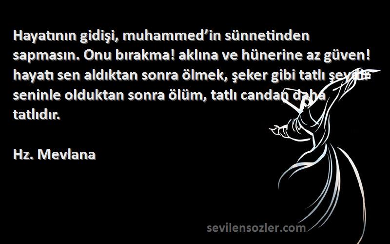 Hz. Mevlana Sözleri 
Hayatının gidişi, muhammed’in sünnetinden sapmasın. Onu bırakma! aklına ve hünerine az güven!
hayatı sen aldıktan sonra ölmek, şeker gibi tatlı şeydir
seninle olduktan sonra ölüm, tatlı candan daha tatlıdır.