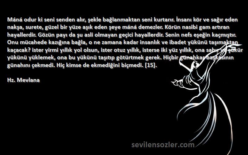 Hz. Mevlana Sözleri 
Máná odur ki seni senden alır, şekle bağlanmaktan seni kurtarır. İnsanı kör ve sağır eden nakşa, surete, güzel bir yüze aşık eden şeye máná demezler. Körün nasibi gam artıran hayallerdir. Gözün payı da şu asli olmayan geçici hayallerdir. Senin nefs eşeğin kaçmıştır. Onu mücahede kazığına bağla, o ne zamana kadar insanlık ve ibadet yükünü taşımaktan kaçacak? ister yirmi yıllık yol olsun, ister otuz yıllık, isterse iki yüz yıllık, ona sabır ve şükür yükünü yüklemek, ona bu yükünü taşıtıp götürtmek gerek. Hiçbir günahkar başkasının günahını çekmedi. Hiç kimse de ekmediğini biçmedi. [15].