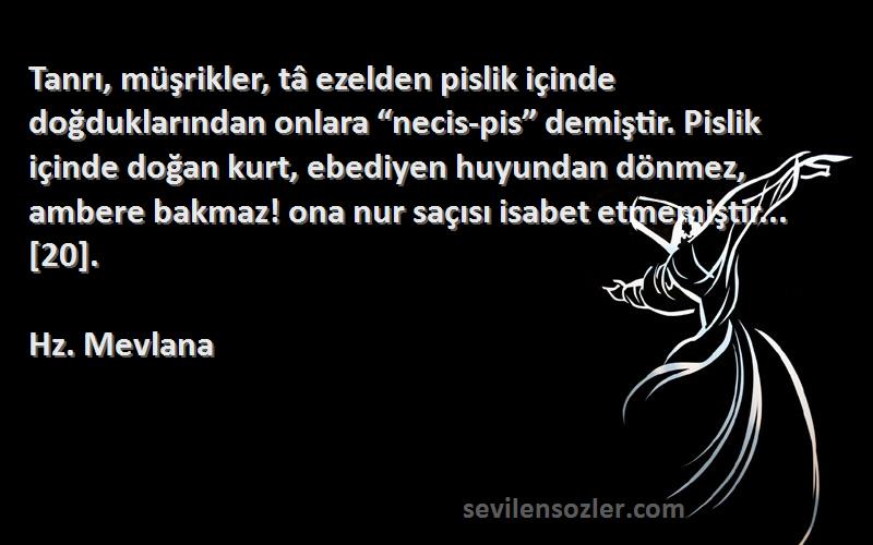 Hz. Mevlana Sözleri 
Tanrı, müşrikler, tâ ezelden pislik içinde doğduklarından onlara “necis-pis” demiştir. Pislik içinde doğan kurt, ebediyen huyundan dönmez, ambere bakmaz! ona nur saçısı isabet etmemiştir... [20].