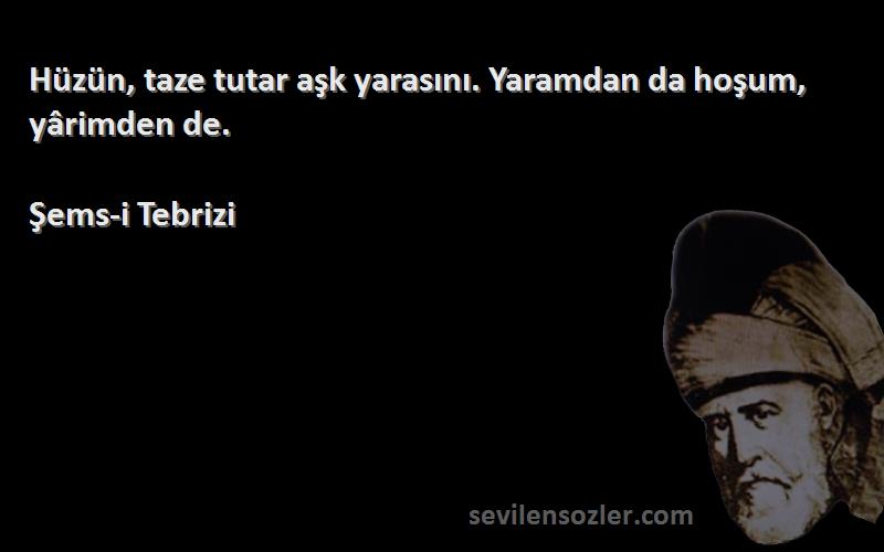 Şems-i Tebrizi Sözleri 
Hüzün, taze tutar aşk yarasını. Yaramdan da hoşum, yârimden de.
