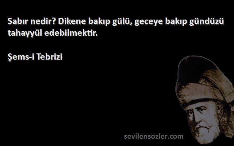 Şems-i Tebrizi Sözleri 
Sabır nedir? Dikene bakıp gülü, geceye bakıp gündüzü tahayyül edebilmektir.
