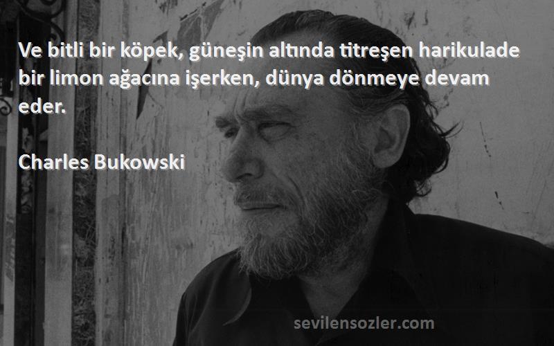 Charles Bukowski Sözleri 
Ve bitli bir köpek, güneşin altında titreşen harikulade bir limon ağacına işerken, dünya dönmeye devam eder.
