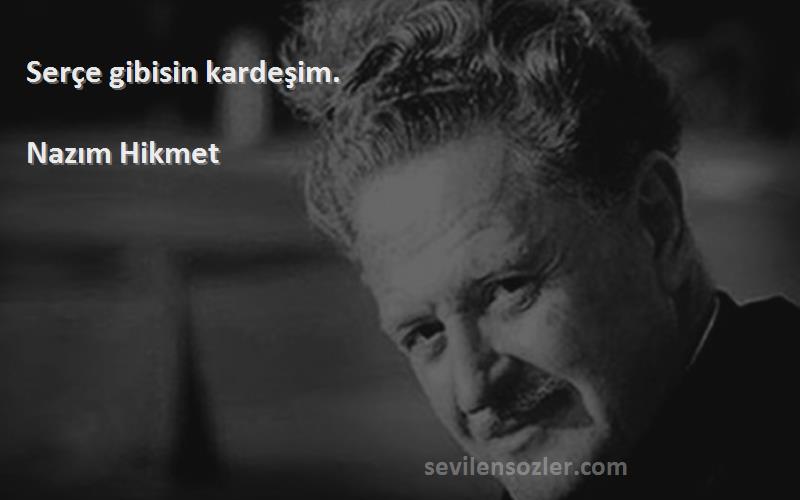 Nazım Hikmet Sözleri 
Serçe gibisin kardeşim.
