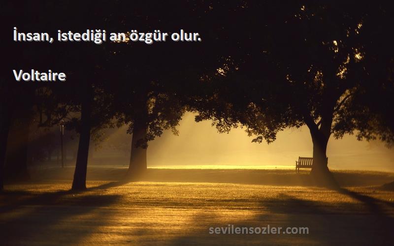 Voltaire - İnsan, istediği an özgür olur.
