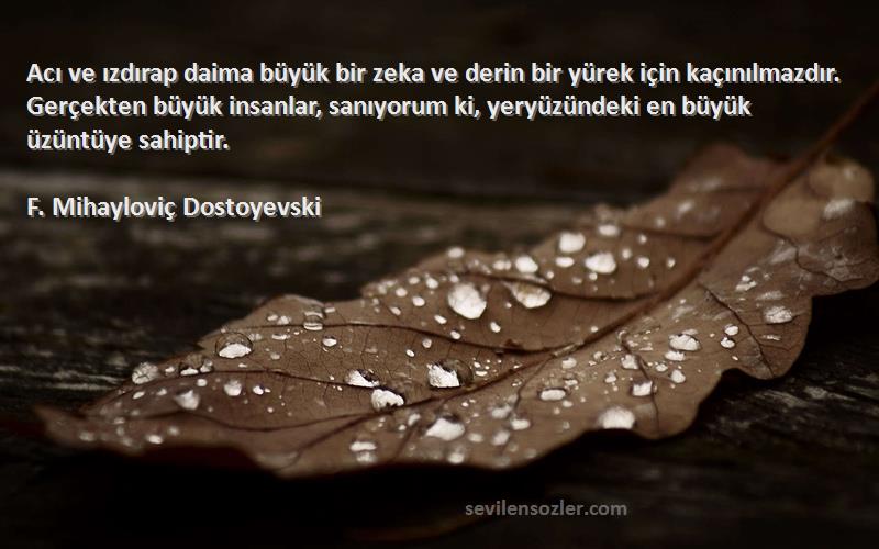 F. Mihayloviç Dostoyevski Sözleri 
Acı ve ızdırap daima büyük bir zeka ve derin bir yürek için kaçınılmazdır. Gerçekten büyük insanlar, sanıyorum ki, yeryüzündeki en büyük üzüntüye sahiptir.

