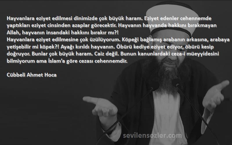 Cübbeli Ahmet Hoca Sözleri 
Hayvanlara eziyet edilmesi dinimizde çok büyük haram. Eziyet edenler cehennemde yaptıkları eziyet cinsinden azaplar görecektir. Hayvanın hayvanda hakkını bırakmayan Allah, hayvanın insandaki hakkını bırakır mı?!
Hayvanlara eziyet edilmesine çok üzülüyorum. Köpeği bağlamış arabanın arkasına, arabaya yetişebilir mi köpek?! Ayağı kırıldı hayvanın. Öbürü kediye eziyet ediyor, öbürü kesip doğruyor. Bunlar çok büyük haram. Caiz değil. Bunun kanunlardaki ceza-i müeyyidesini bilmiyorum ama İslam’a göre cezası cehennemdir.
