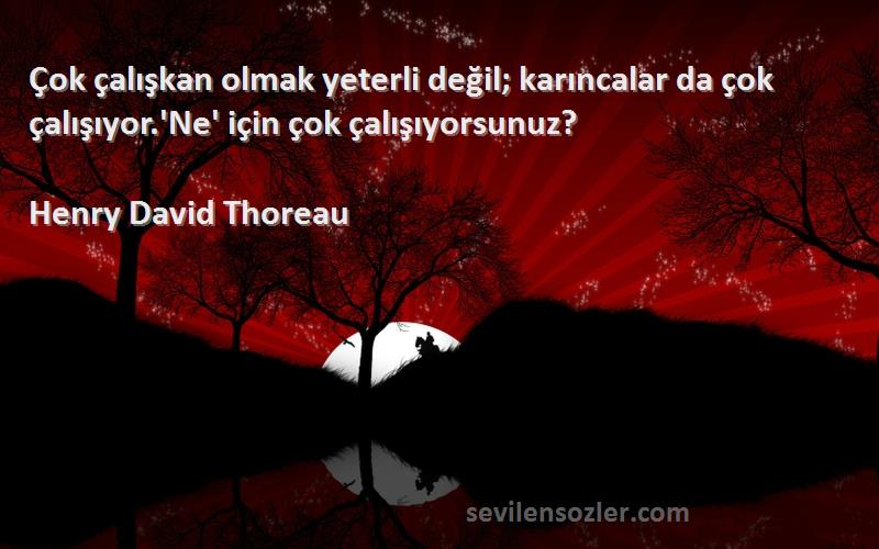 Henry David Thoreau Sözleri 
Çok çalışkan olmak yeterli değil; karıncalar da çok çalışıyor.'Ne' için çok çalışıyorsunuz?
