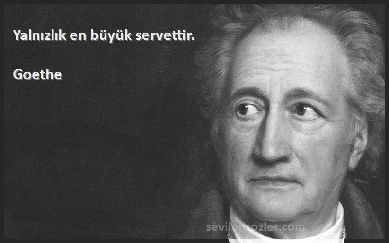 Goethe - Yalnızlık en büyük servettir.
