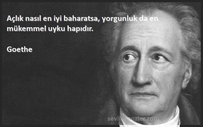 Goethe Sözleri 
Açlık nasıl en iyi baharatsa, yorgunluk da en mükemmel uyku hapıdır.
