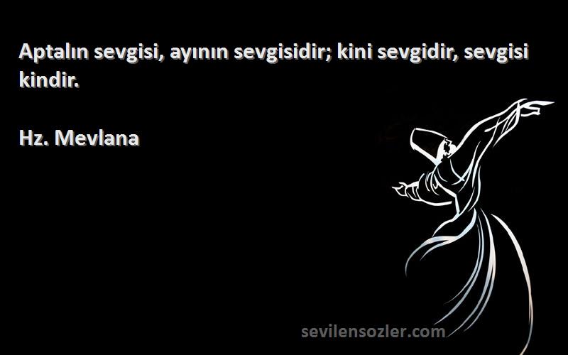 Hz. Mevlana - Aptalın sevgisi, ayının sevgisidir; kini sevgidir, sevgisi kindir.